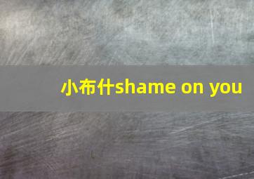 小布什shame on you